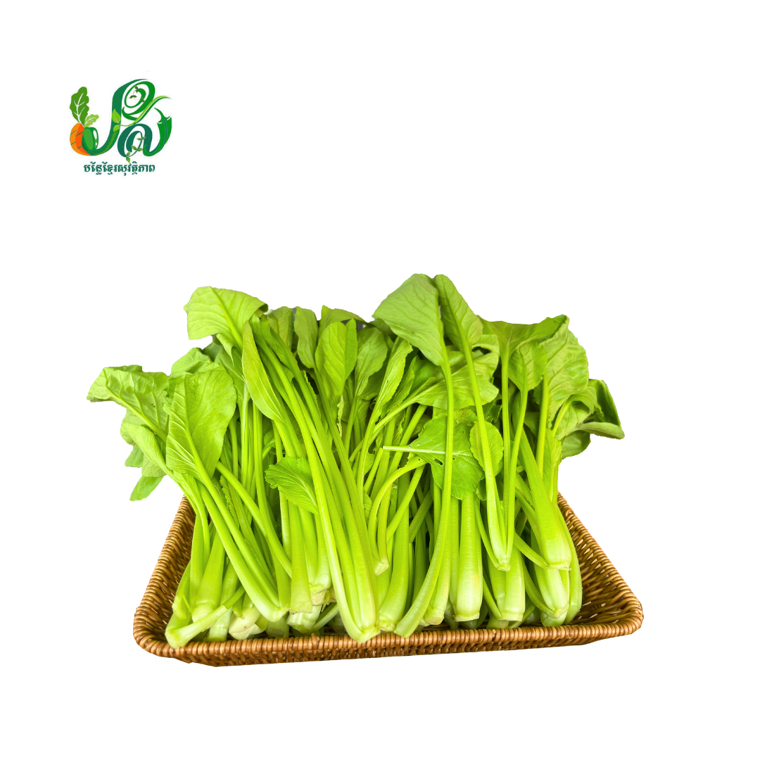 Choy Sum
