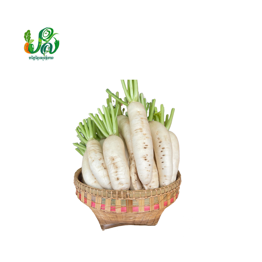 Chinese Radish