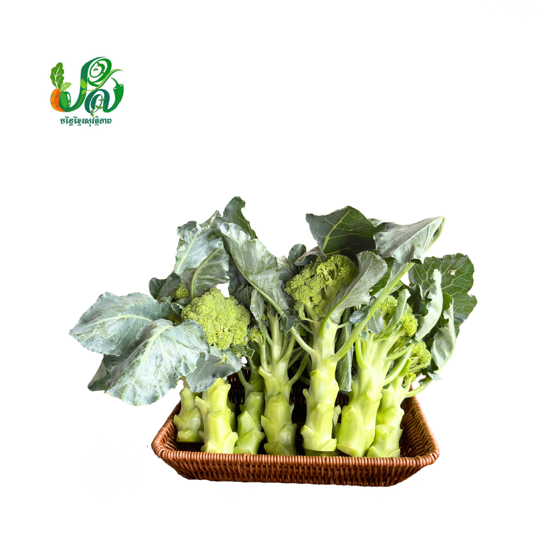 Broccoli