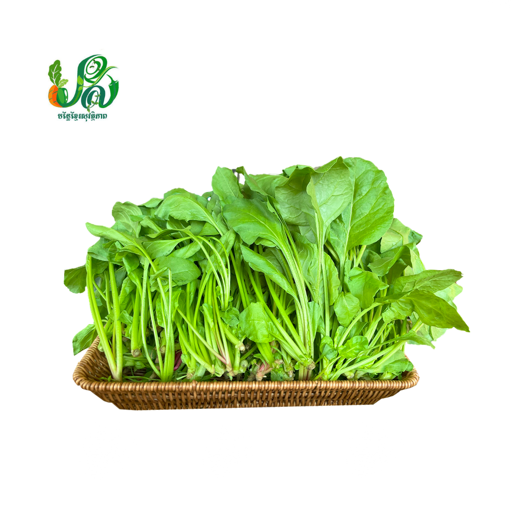 Spinach